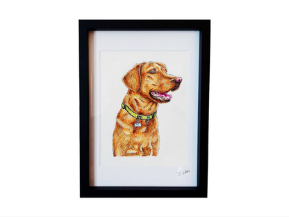 Custom Pet Portrait - Edoni Art