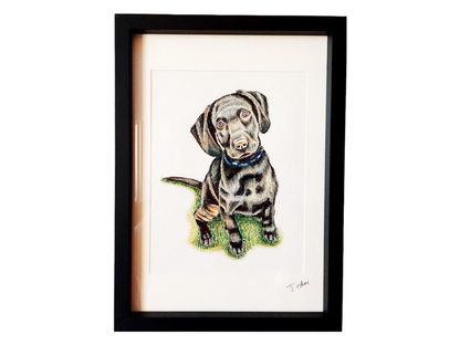 Custom Pet Portrait - Edoni Art