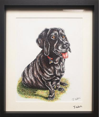 Custom Pet Portrait - Edoni Art